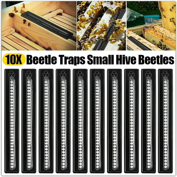 10X Baitable Reusable Hive Beetle Trap No Poison No Pesticides Beekeeping T